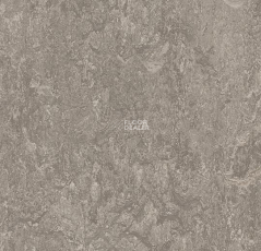 Marmoleum Modular t3146 serene grey фото 1 | FLOORDEALER